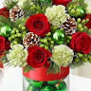 Meet your Posher, Ann